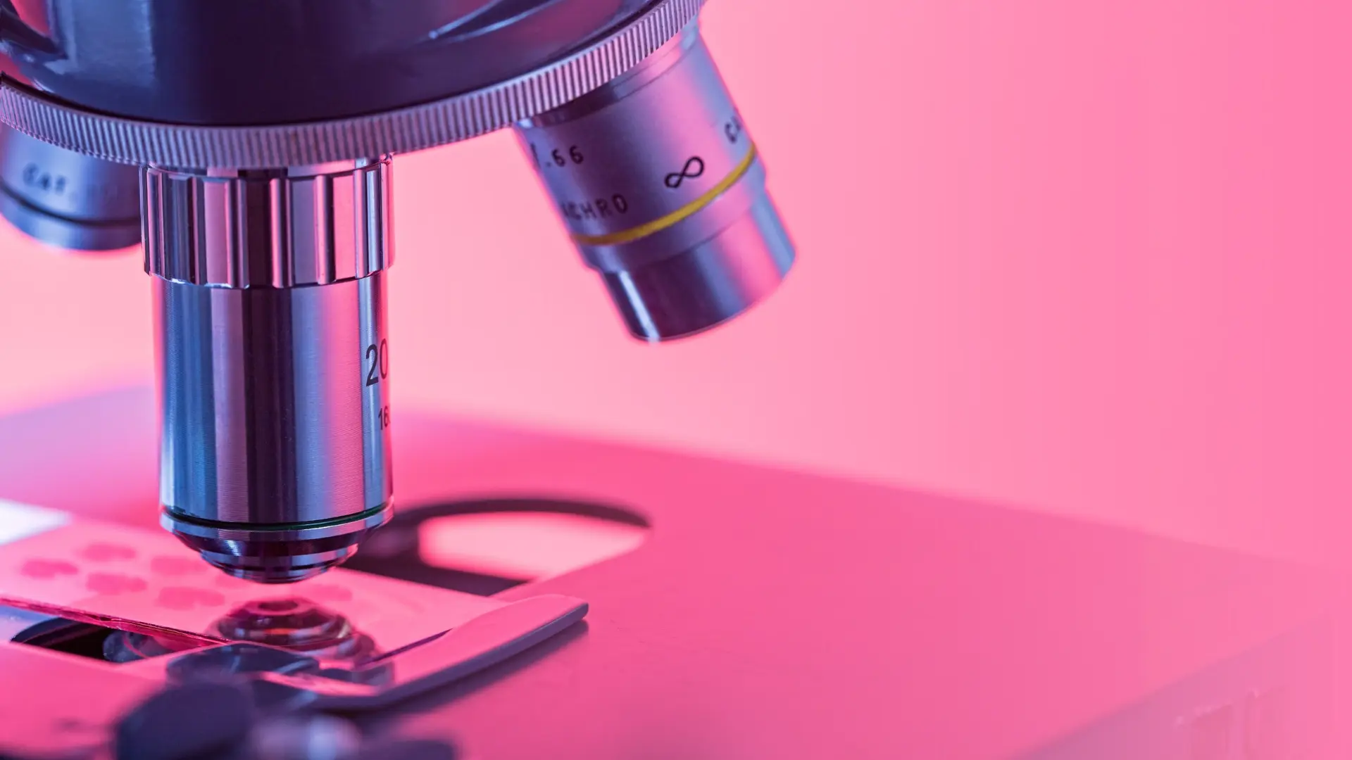The Anatomy of an FRO: A New Model for Research That Benefits Everyone 