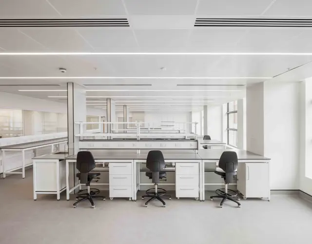 Apex Lab